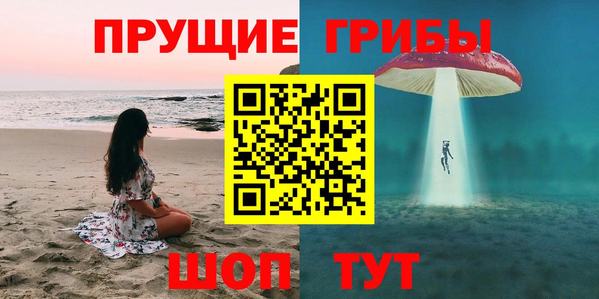 Галлюциногенные грибы Psilocybe Тара