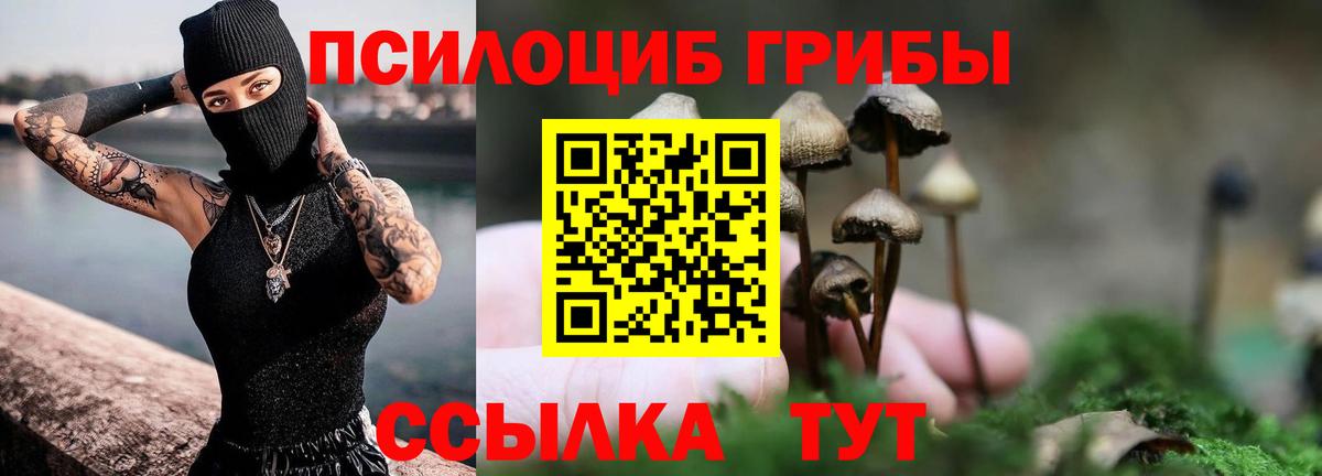 Тара  Галлюциногенные грибы GOLDEN TEACHER  Вход с VPN  Галлюциногенные грибы прущие грибы 